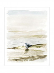 Coastal Gull II Wall Poster Green/White 80x90x3.5centimeter