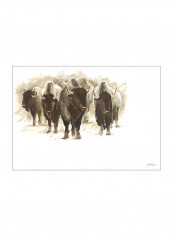 Herd of Bison II Poster Brown/Grey 90x80x3.5centimeter