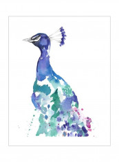 Peacock Splash II Wall Poster Blue/Green/Pink 80x3.5x90centimeter