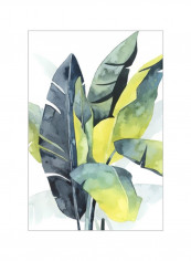 Sunset Palm Composition III Wall Poster White/Green/Grey 80x90x3.5centimeter