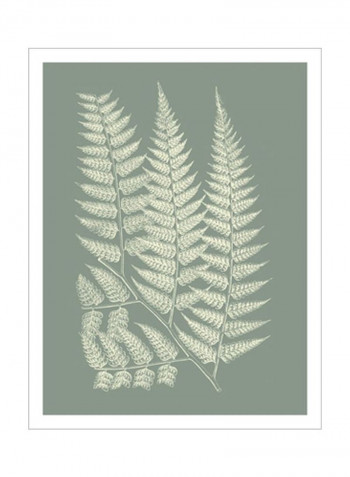 Ferns On Sage III Wall Poster Grey/White 80x90 3.5centimeter