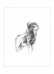 Western Animal Sketch III Wall Poster Grey 80x3.5x90centimeter