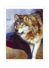 Wolf Study II Wall Poster Brown/White/Grey 80x90x3.5centimeter