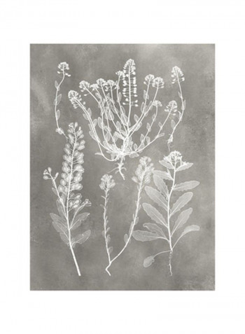 Herbarium Study III Wall Poster Grey/White 80x90x3.5centimeter