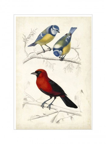 D'Orbigny Birds III Poster Red/Blue/Beige 80x90x3.5centimeter