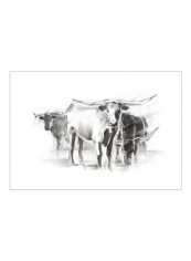 Contemporary Cattle II Poster Black/White 90x80x3.5centimeter