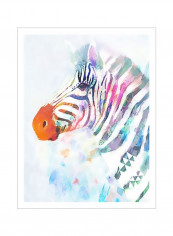 Fluorescent Zebra I Poster Multicolour 80 x90 x3.5centimeter