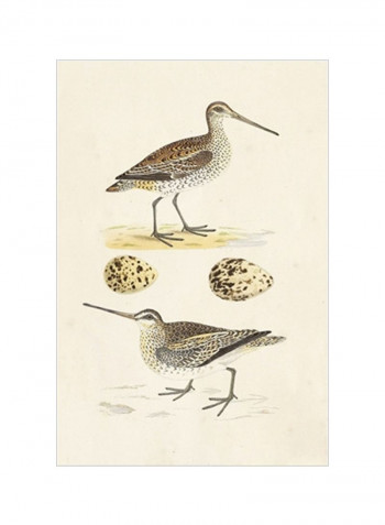 Sandpipers And Eggs III Wall Poster Brown/Beige 80x3.5x90centimeter