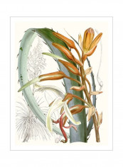 Tropical Variety III Wall Poster Green/Orange/White 80x90x3.5centimeter