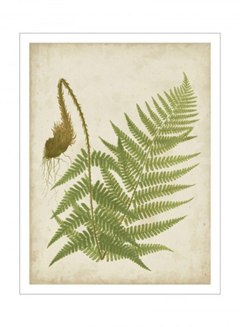 Fern Trio I Poster Green/Brown 80x90x3.5centimeter