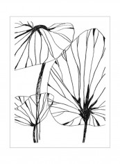 Linear Tropics IV Poster Black/White 80x90x3.5centimeter
