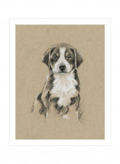 Breed Sketches II Wall Poster Brown/Black 90x80x3.5centimeter