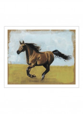 Equestrian Studies II Wall Poster Brown/Green/Blue 85x80x3.5centimeter
