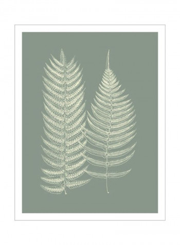 Ferns On Sage IX Wall Poster Grey/White 80x90 3.5centimeter