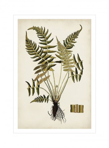 Fern Botanical IV Wall Poster Beige/Green/Black 80x90x3.5centimeter
