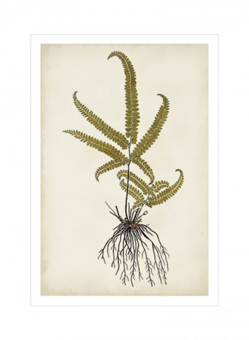 Fern Botanical VI Wall Poster Beige/Green/Black 80x90x3.5centimeter