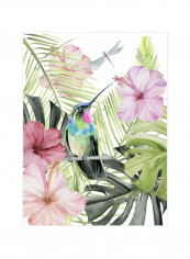 Hibiscus And Hummingbird II Poster Pink/Purple/Green 80x90x3.5centimeter