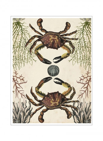 Antiquarian Menagerie Crab Poster Brown/Beige/Grey 80x90x3.5centimeter
