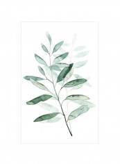 Serene Reed I Wall Poster White/Green 80x90x3.5centimeter