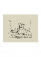 Stowaway IV Poster Beige/Black 80x90x3.5centimeter