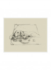 Stowaway III Poster Beige/Black 80x90x3.5centimeter