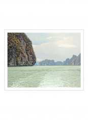 Exotic Waters V Wall Poster Green/White 90x80x3.5centimeter
