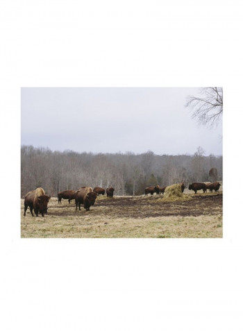 Farm Study VI Wall Poster Brown/Green/White 90x80x3.5centimeter