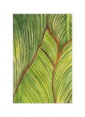 Tropical Crop II Wall Poster Green/Brown 80x90x3.5centimeter