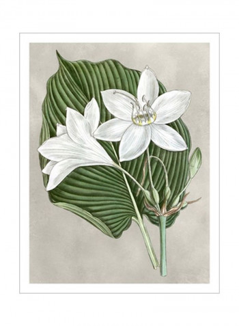 Alabaster Blooms III Wall Poster Green/White 80x90x3.5centimeter