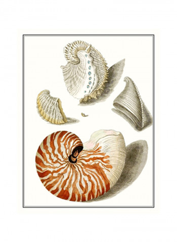 Collected Shells I Wall Poster Beige/Brown/Grey 90x80x3.5centimeter