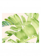 Peachy Palms II Wall Poster Green/Blue 85x80x3.5centimeter