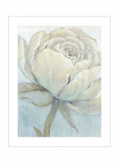 English Rose II Wall Poster Blue/Beige/Green 80x90x3.5centimeter