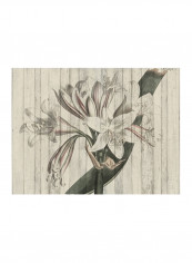 Rustic Floral II Wall Poster Beige/Green 90x80x3.5centimeter