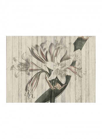 Rustic Floral II Wall Poster Beige/Green 90x80x3.5centimeter