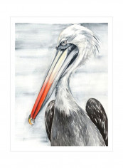 Grey Pelican II Wall Poster Grey/White/Orange 80x90x3.5centimeter
