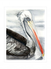 Grey Pelican I Wall Poster Grey/White/Orange 80x90x3.5centimeter