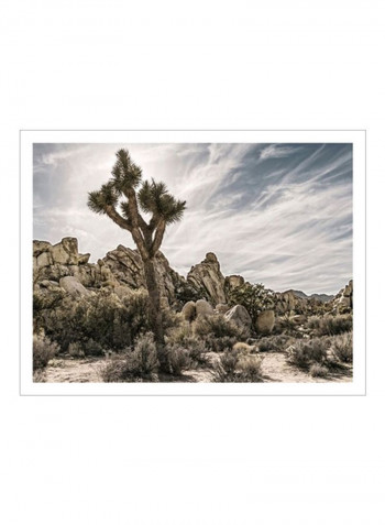 Views Of Joshua Tree VIII Wall Poster Green/Grey 90x80x3.5centimeter