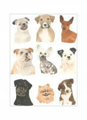 Doggos And Puppers I Wall Poster Multicolour 80x90x3.5centimeter