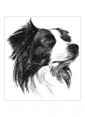 Canine Study I Wall Poster Black/White 90x80x3.5centimeter