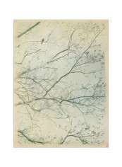 Leave It Behind I Wall Poster Beige/Grey/Green 80x90x3.5centimeter