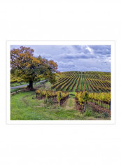 Pastoral Countryside I Wall Poster Green/Blue 90x3.5x80centimeter