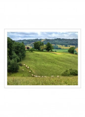 Pastoral Countryside V Poster Green/Blue 90x80x3.5centimeter