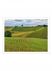 Pastoral Countryside VI Poster Green/Blue 90x80x3.5centimeter