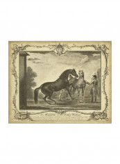 Distinguished Horses III Wall Poster Brown/Grey 85x80x3.5centimeter