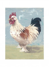Farm Life-Chickens II Wall Poster Blue/White/Green 80x90x3.5centimeter