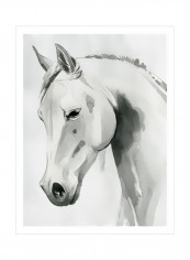 Horse Whisper I Wall Poster Black/White 80x90x3.5centimeter