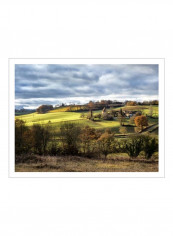 Pastoral Countryside XVIII Poster Green/Blue 90x80x3.5centimeter