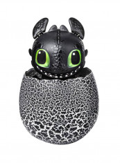 Dragon Hatching Toothless