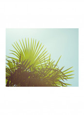 Sunny Palms I Wall Poster Blue/Green/Brown 85x80x3.5centimeter