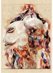 Nassiri Giclee Camel Print Multicolour reviews Nassiri Giclee Camel Print Multicolour